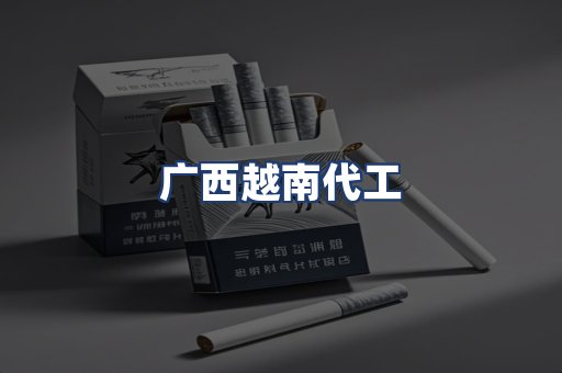 广西越南代工
